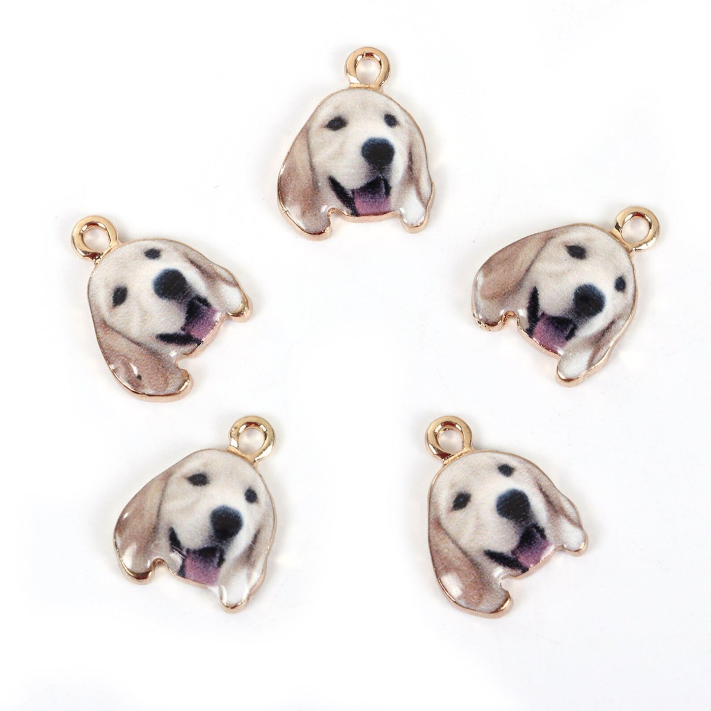 10 Charms Perrito Labrador