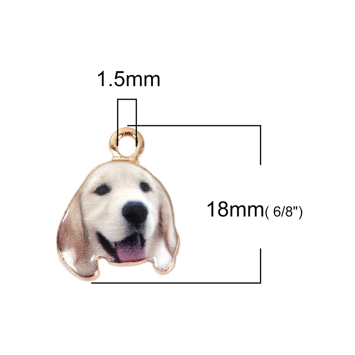 10 Charms Perrito Labrador