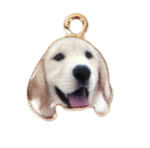 10 Charms Perrito Labrador